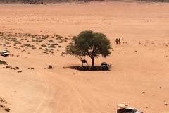 Window into desert silhouette