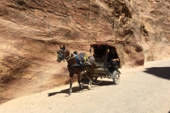 Window into horse and buggy at Petra