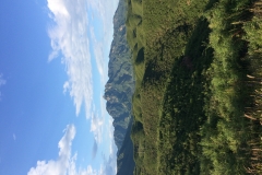 IMG_0361 2