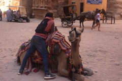 Window into camel in front of the Treasury, Petra